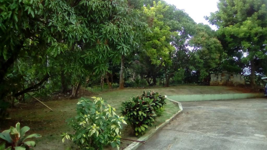 Griffiths Guest House White Hill Buitenkant foto